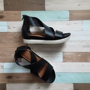 Brand New hummingbird Ankle strap sandals